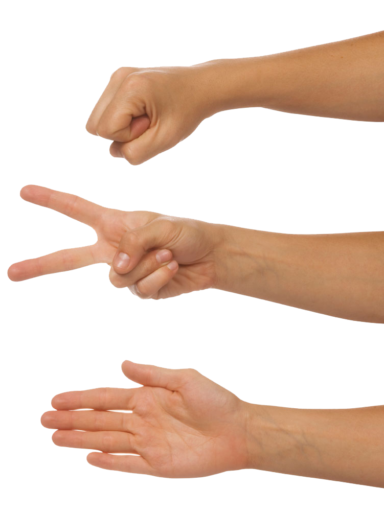 hands